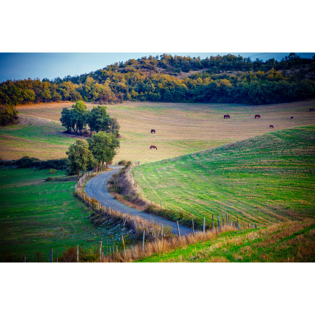 Herbstweide. Baskenland. Spanien von Sima_ha - Kunstdrucke auf Leinwand ohne Rahmen