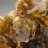 Yellow Fluorite