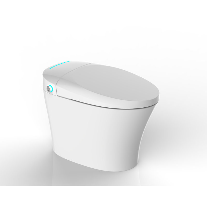 Toilette bidet allongée à double chasse