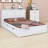 Porchae Bookcase Storage Bed-641061555