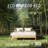 Ruberta 10" High Solid Wood Platform Bed, Bamboo Material, Easy Assembly, No Squeak-468759435