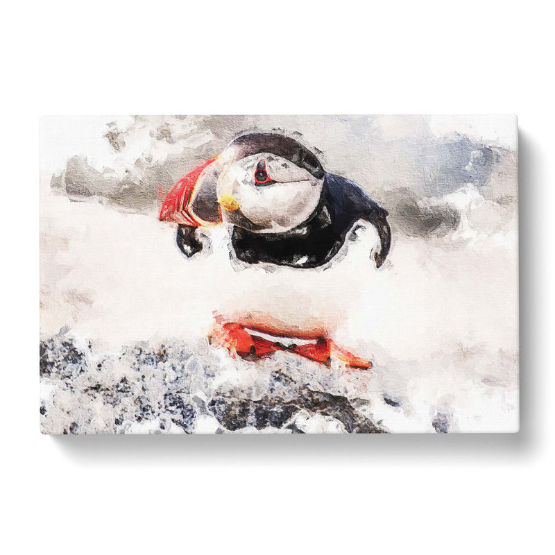 Atlantic Puffin - Wrapped Canvas Painting, 50cm H x 76cm W x 3cm D