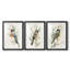 Tree Toppers I - Impression personnalisée de qualité supérieure avec cadre - 3 pièces-1548869248-1548869249