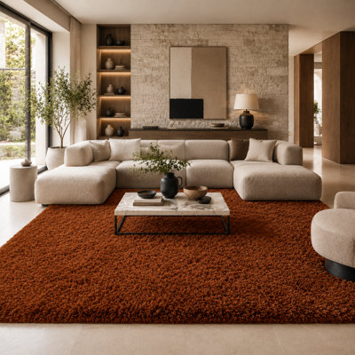 Grands tapis à poil long de 5 pi x 7 pi pour le décor de la chambre à coucher, tapis à poils doux et pelucheux teint à la main pour le plancher intérieur, tapis esthétique pour la décoration intérieure