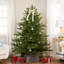Pre-Lit Full Oregon Noble Fir Artificial Christmas Tree - Warm White LED Lights-647536644