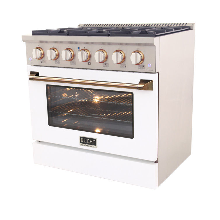 Custom Pro-Style 36 in. 5.2 cu. ft. 6-Burner Freestanding Gas Range with Convection Oven