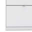 Shoes 6 Pair Shoe Storage Cabinet-726998895