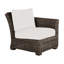 Rustic Patio Lounge Chair with Cushions-1110726824-1172305671-1172305910