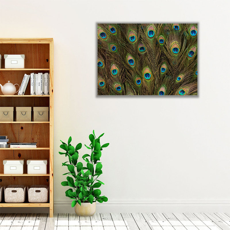 Plume de paon, reproduction d'art sur toile, H 24 po x l 32 po