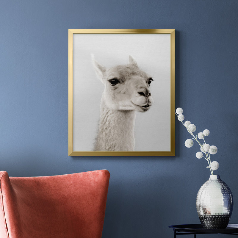 Soft Llama Premium Framed Canvas - Ready to Hang, Gold, 24" H x 20" W