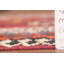 Tapis kilim à teinture végétale 5 x 8 po