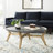 Single Coffee Table