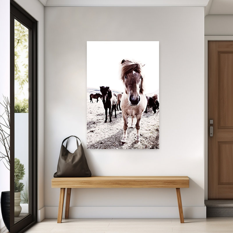 Islande, cheval, Rikka, art contemporain cheval