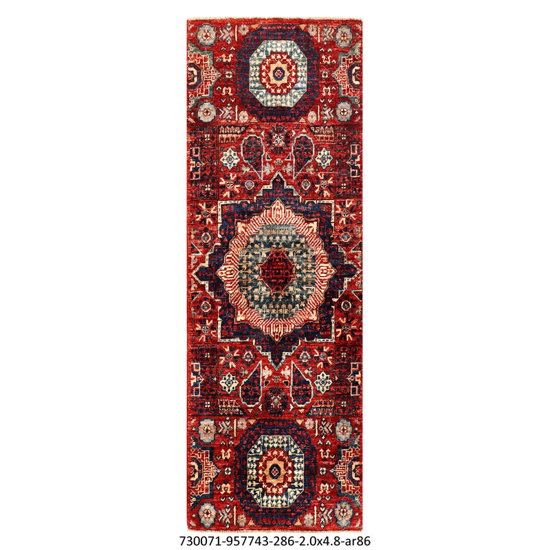 Aryana Wool Oriental Area Rug in Red/Blue/Azure