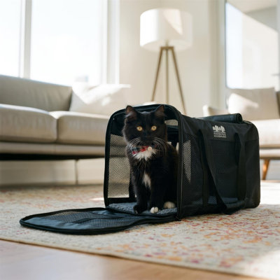 Pet Carrier