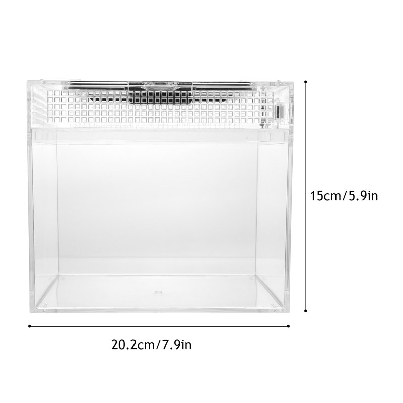 1Pc Reptile Feeding Box Small Crawling Pet Hatching Container Lizard Habitat Box