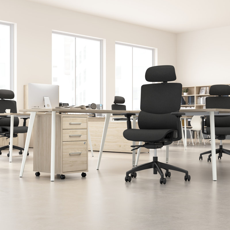 Black High Back Ergonomic Mesh Office Chair with Adjustable Arms