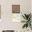 Vidaxl Window Blind With Curtains Manual Brown Bamboo-117470826
