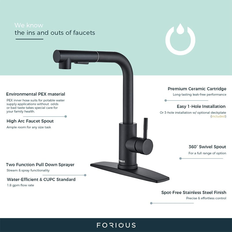 XWSI Pull Out Kitchen Faucet