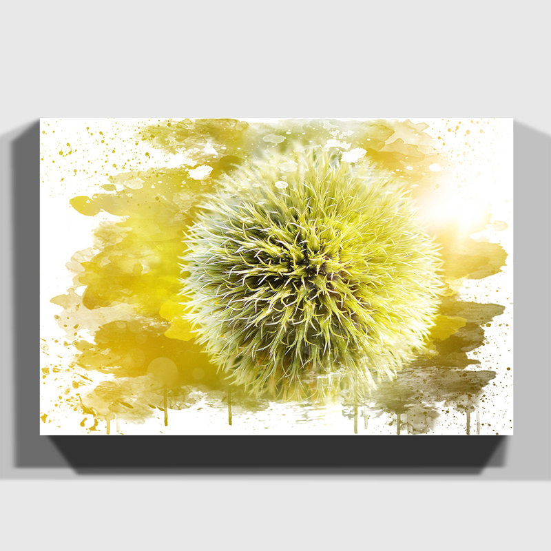 Print, 50cm H x 76cm W, Wrapped Canvas