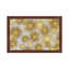 Sunburst Cluster by Abby Young - Print on Canvas-35851409-98193225