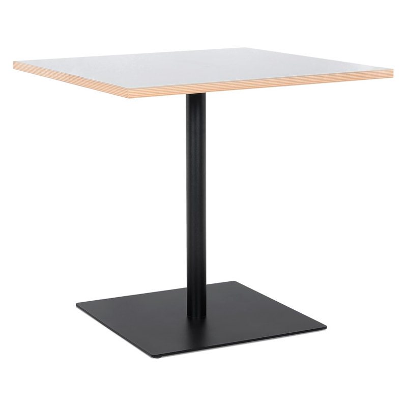 Jayvir Metal Base Dining Table, White