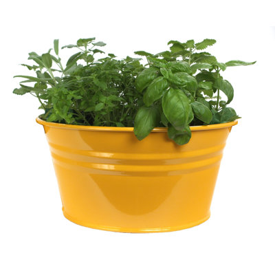 Enameled Galvanized Steel Planter, Set Of Two