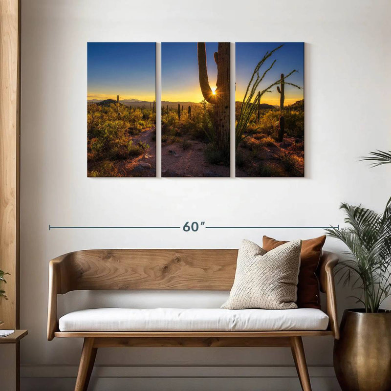 Coucher de soleil sur le parc national Harnek Saguaro, H 28 po x l 45 po
