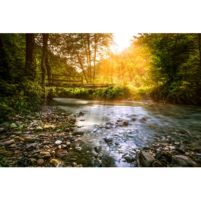 Ahniyla Forest Stream par - Photographie de toile tendue