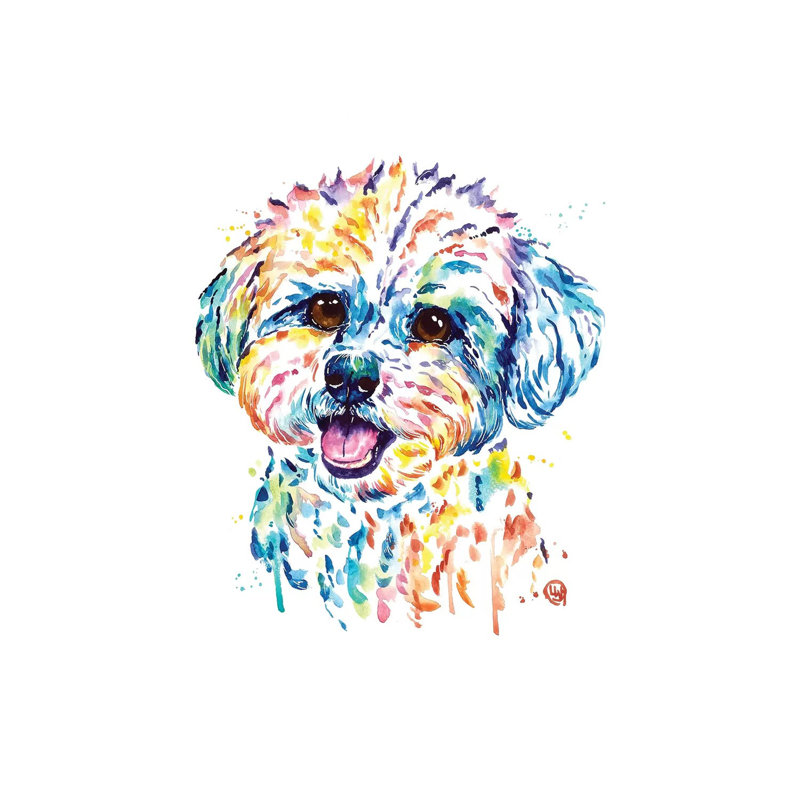 Bichon by Lisa Whitehouse - Wrapped Canvas Painting, 101.6 cm H x 66.04 cm W x 1.91 cm D