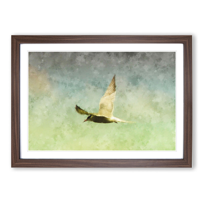 Flying Bird - Picture Frame Graphic Art, 48cm H x 65cm W x 2cm D, Walnut Framed