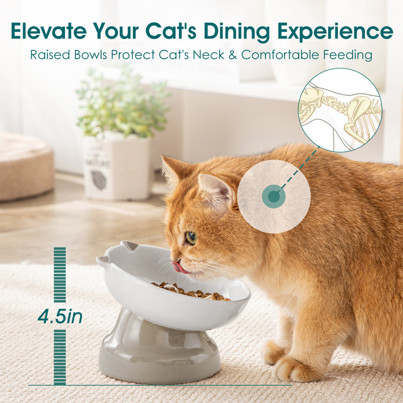 Slow Feeder, Grey/White