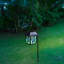 Black Low Voltage Solar Powered Pathway Light