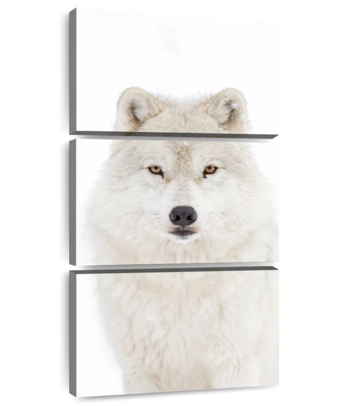 Loup arctique blanc neige, H 32 po x l 15 po