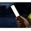 Davaney Wood LED Wallchiere