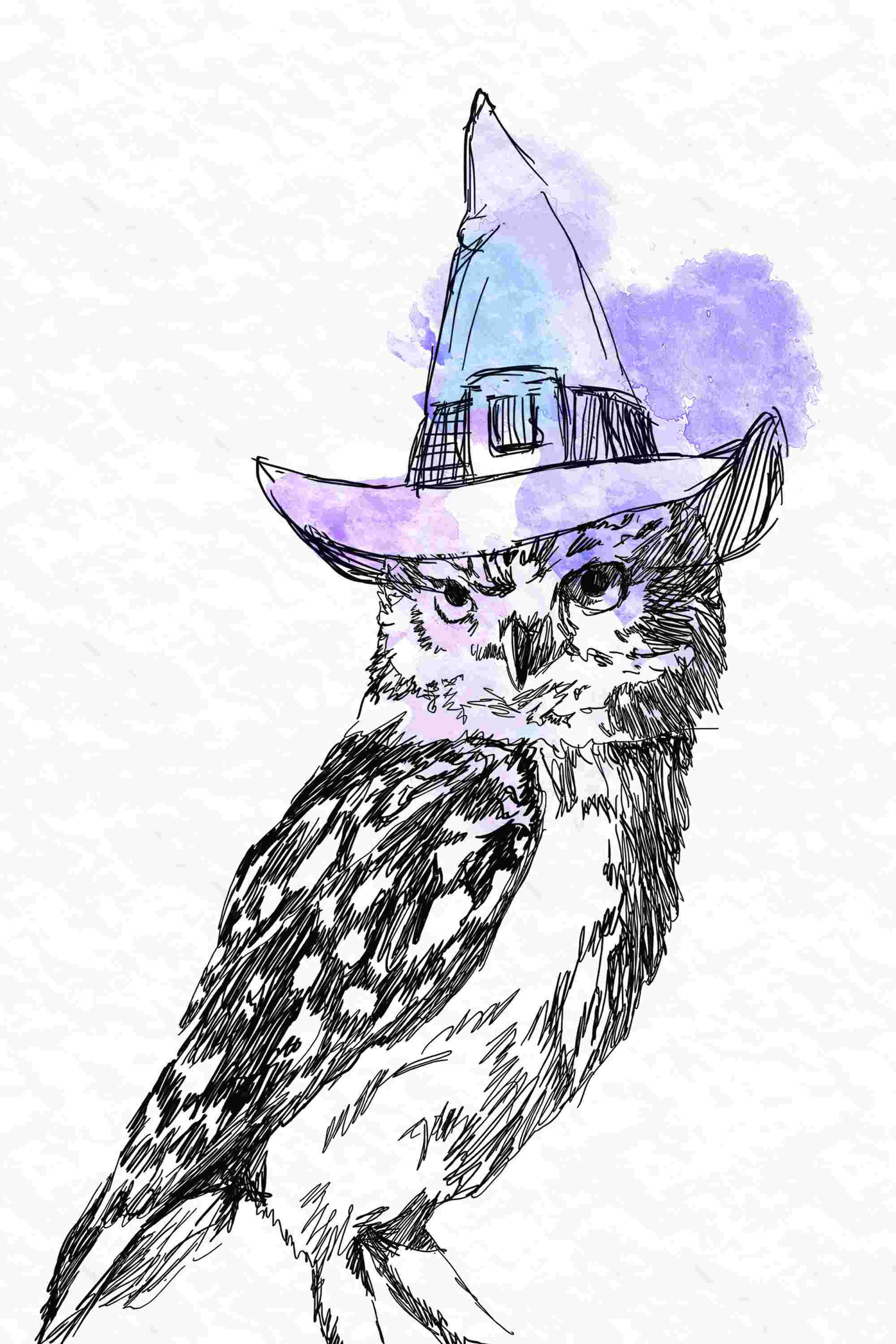 Wise Young Owl - Paint at Home Kit