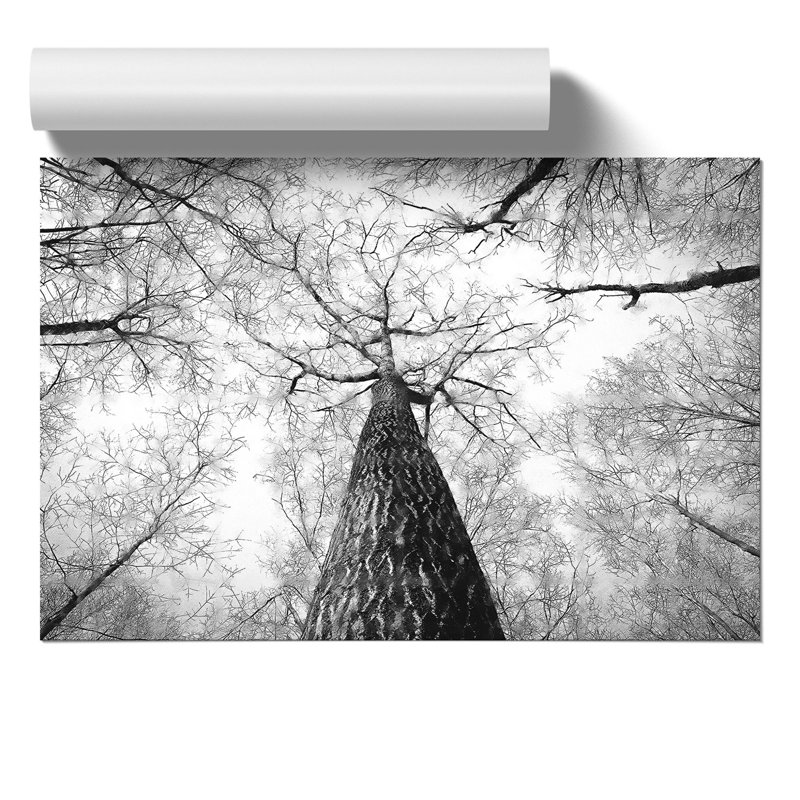 Below The Forest - No Frame Print, 30cm H x 42cm W x 0.1cm D