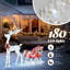 Christmas Decoration