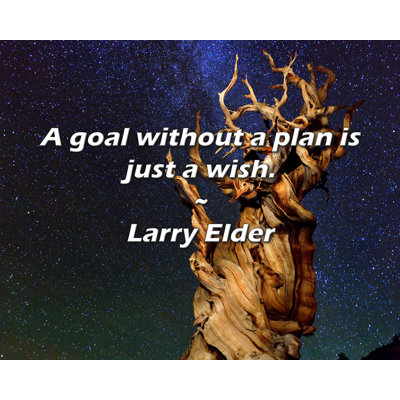 Larry Elder Quote: A goal without a plan is just a wish.