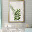 Botanical Wash II - reproduction botanique rétro, emmêlée et encadrée sous verre, art mural de salon et de salle à manger-2130414790-2130414832