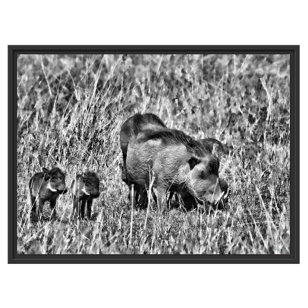 Gerahmtes Wandbild Warzenschweine Savanne