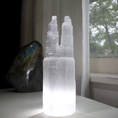 Figurines & Sculptures