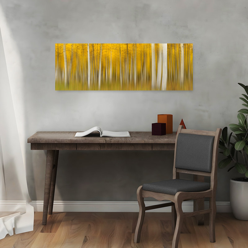Golden Aspen Blur, H 12 po x l 36 po