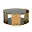Table basse en acier inoxydable avec plateau en verre trempé noir, hauteur de décor de salon confortable, idéale pour