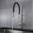LITTLE TREE Pull Out Kitchen Faucet