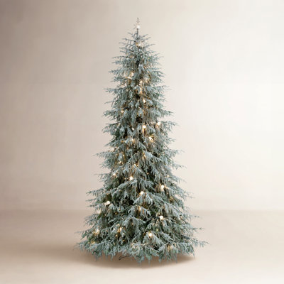 Pine Christmas Tree