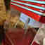 Customer photo 3 of 5