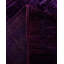 Damiani One-of-a-Kind 8' 10" X 11' 8" Hand Knotted Area Rug