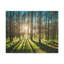 No Frame Print on Canvas-1137586228