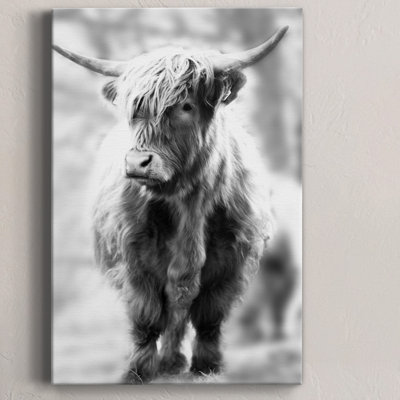 " Yorkshire Highland "